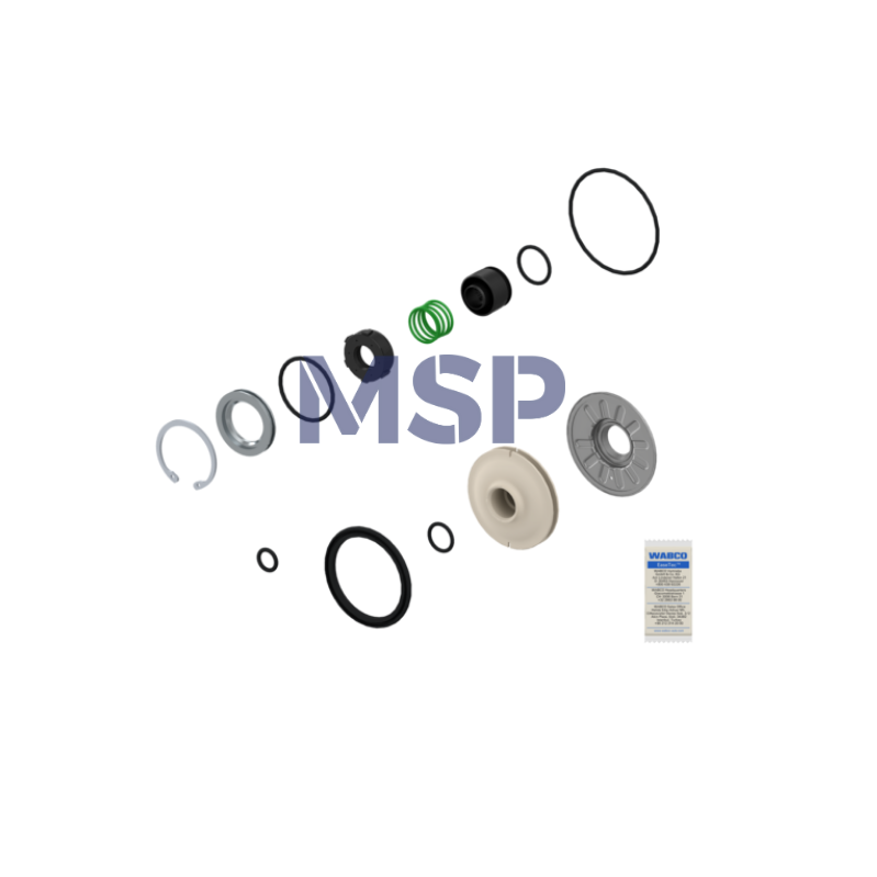 4801049202 Kit: Émbolo