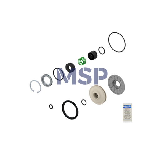 4801049202 Kit: Émbolo